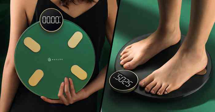 HAYLOU Smart Body Fat Scale CM01
